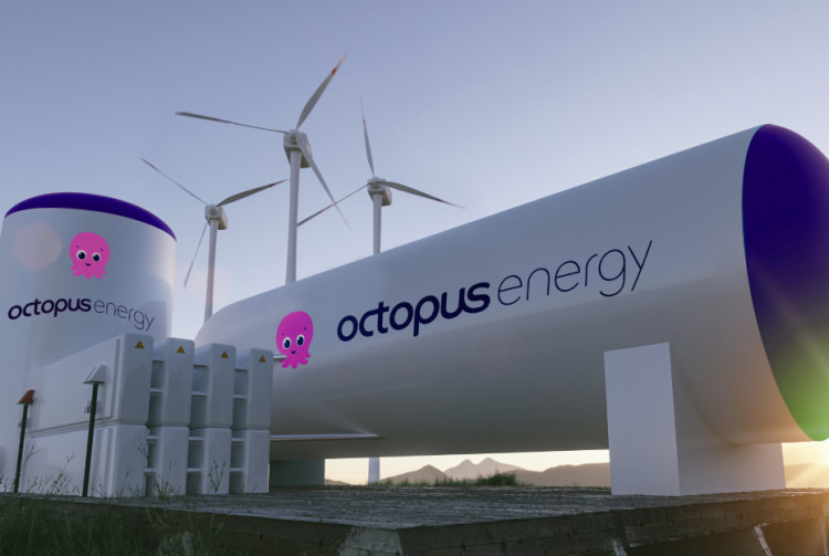 card-octopus-energy-hatchery-(2).jpg
